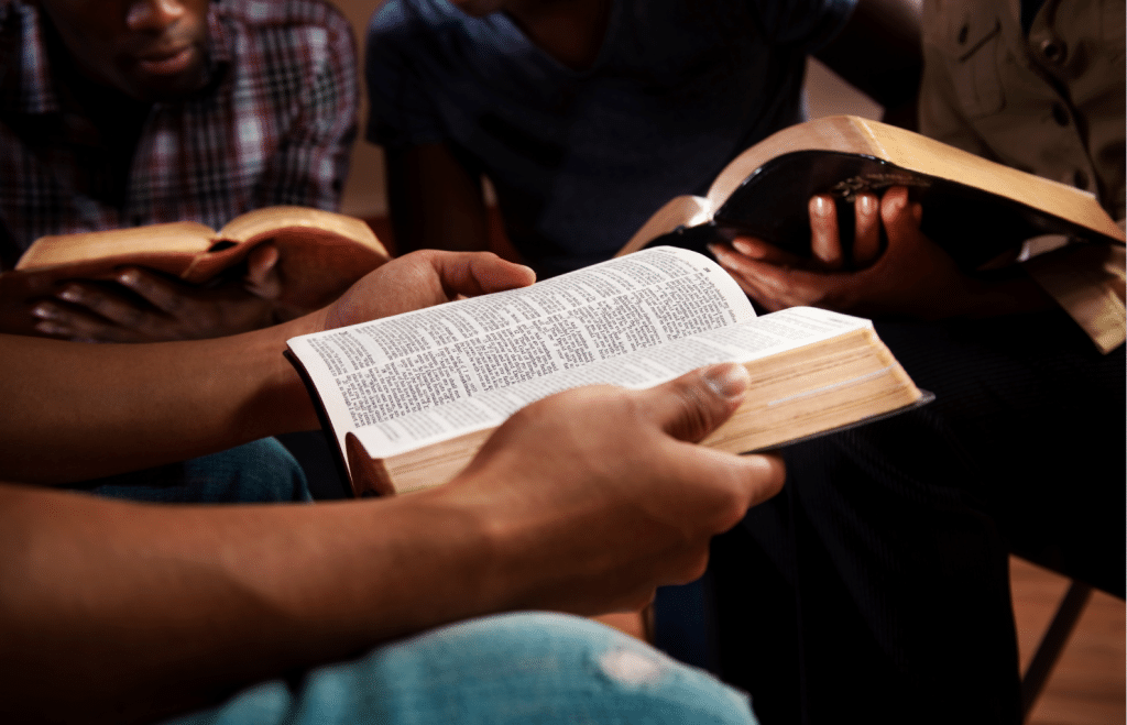 The Art of Baking: From Classic Bread to Artisan Pastries
