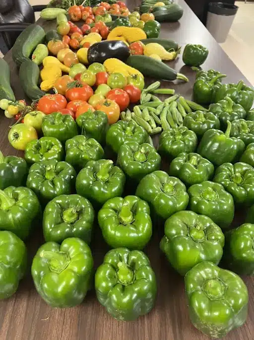JPS Environmental Learning Center’s People’s Garden grows fresh produce, learning opportunities, and community impact